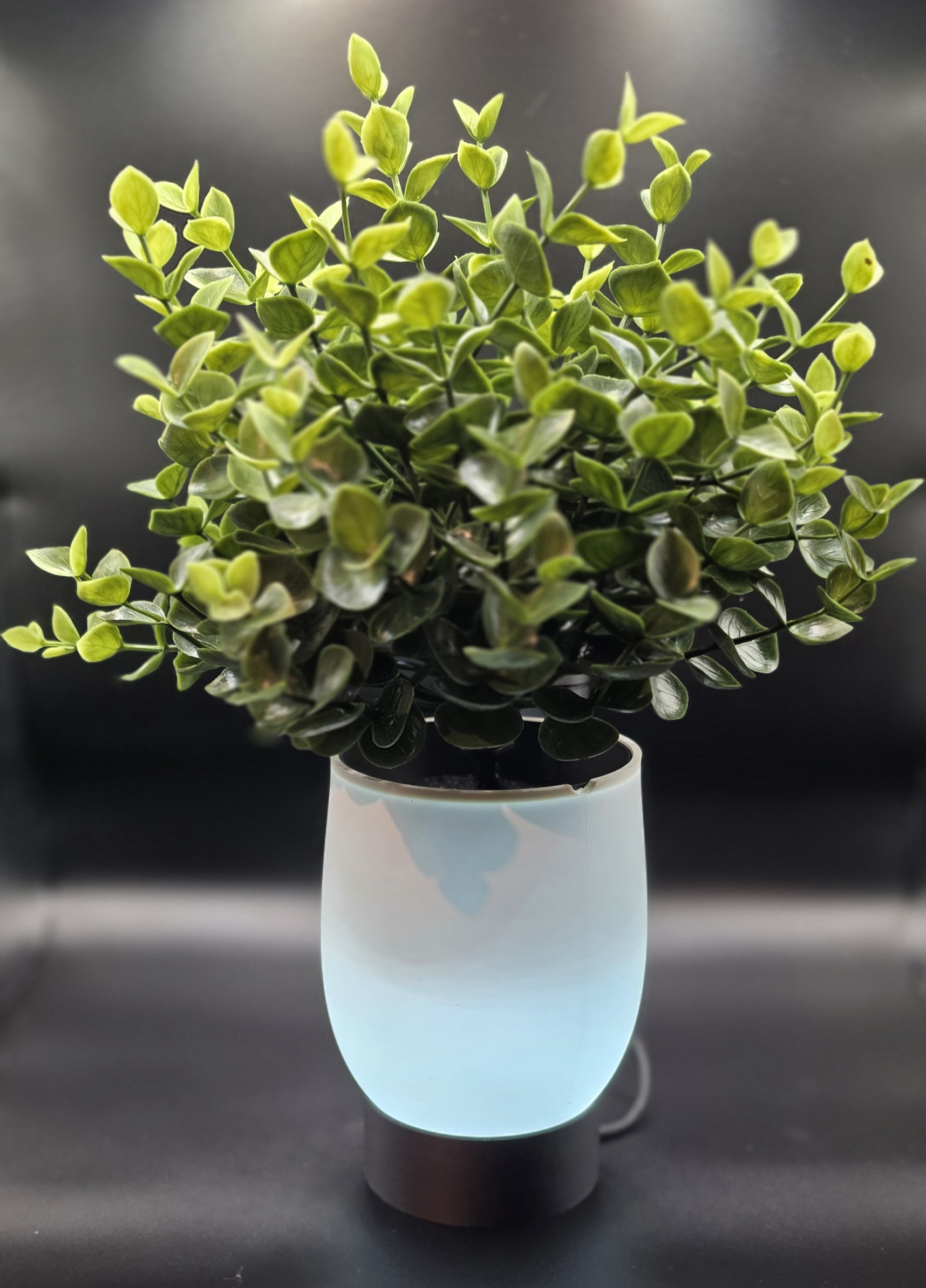3D printed glowing planter with soft ambient lighting